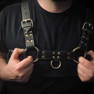 Black Leather Harness